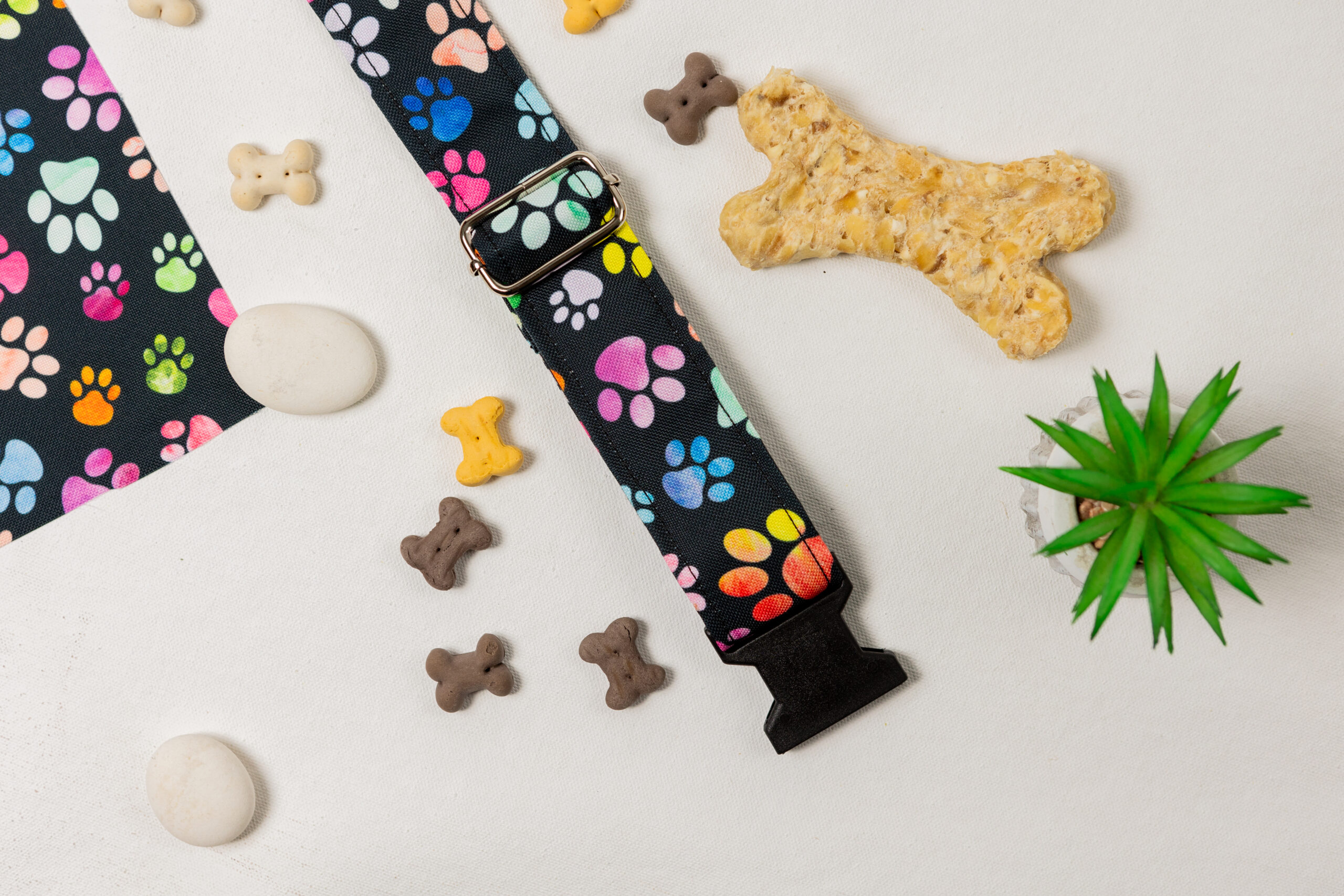 duhovÉ profi obojek (2)